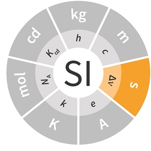 Si unit International System